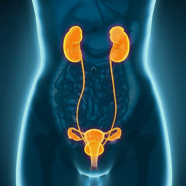 Servicios de urología para cáncer de riñón en Bogotá